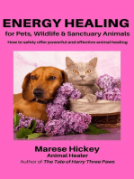 Energy Healing for Pets, Wildlife & Sanctuary Animals