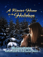 A Forever Home for the Holidays