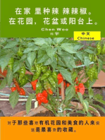 在家 里种辣 辣辣椒。在花园，花盆或阳台上。