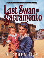 Last Swan in Sacramento