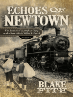 Echoes of Newtown: A Novel