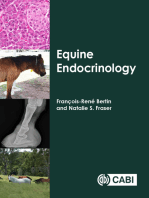 Equine Endocrinology