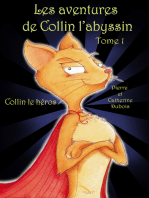 Les AVENTURES DE COLLIN L’ABYSSIN Collin le héros