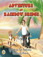 Adventure At Rainbow Bridge