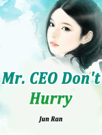 Mr. CEO, Don't Hurry
