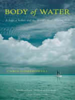 Body of Water