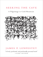 Seeking the Cave