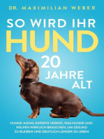 So wird Ihr Hund 20 Jahre alt