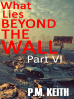 What Lies Beyond The Wall