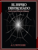 El espejo destrozado