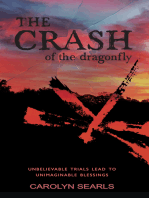Crash of the Dragonfly: Unbelievable Trials Lead to Unimaginable Blessings