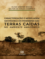 Caracterização e modelagem geotécnica do fenômeno das terras caídas no ambiente Amazônico