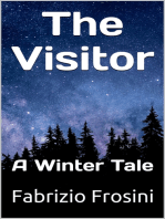 The Visitor