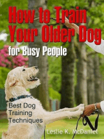How to Train Your Older Dog for Busy People