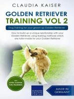 Golden Retriever Training Vol. 2