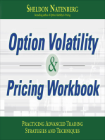 Option Volatility & Pricing Workbook