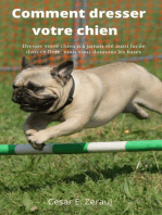 Comment dresser votre chien Dresser votre chien n'a jamais été aussi facile dans ce livre, nous vous donnons les bases