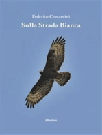 Sulla Strada Bianca