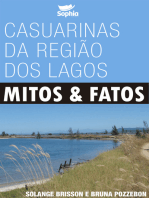 Casuarinas da Região dos Lagos: Mitos & fatos
