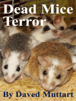 Dead Mice Terror