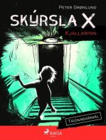 Skýrsla X - Kjallarinn