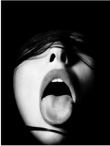 Explicit erotic black and white photo