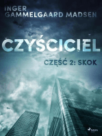 Czyściciel 2