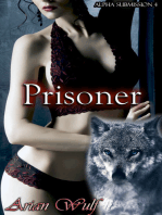 Alpha Submission 4: Prisoner