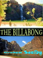 The Billabong