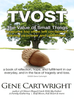 TVOST. The Value of Small Things