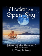 Under an Open Sky