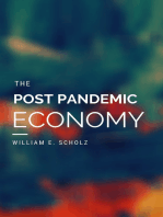 The Post Pandemic Economy