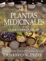41 Plantas Medicinales y Como Prepararlas