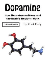 Dopamine: How Neurotransmitters and the Brain’s Regions Work