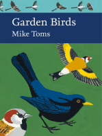 Garden Birds