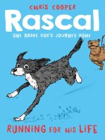 Rascal: Running For His Life