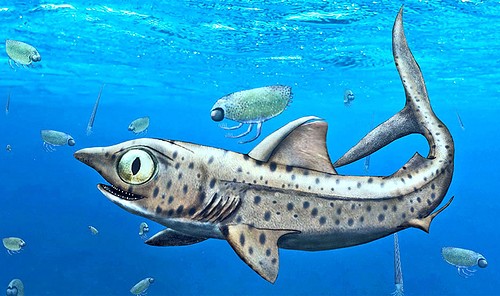 Prehistoric Sharks Hid Their Biggest, Sharpest Teeth - Futurity | Everand