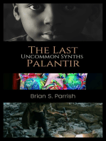 The Last Palantir: Uncommon Synths