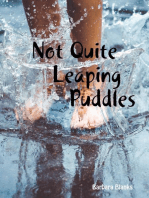 Not Quite Leaping Puddles