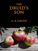 The Druid's Son