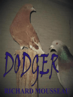 Dodger