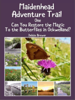 Maidenhead Adventure Trail One, Can You Restore the Magic to the Butterflies In Ockwelland?
