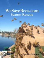 Wesavebees.com: Swarm Rescue