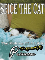 Spice the Cat