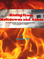 Rising from Meltdowns and Ashes