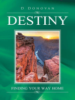 Destiny: Finding Your Way Home