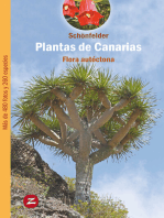 Plantas de Canarias: Flora autóctona