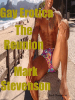 Gay Erotica the Reunion