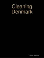 Cleaning Denmark