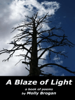 A Blaze of Light: A Book of Poems